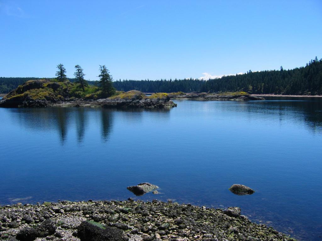 Gowlland Harbour Resort Heriot Bay Zimmer foto